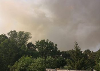 Blaulichtreport Cottbus und Umgebung