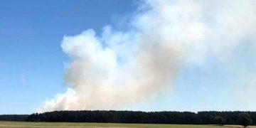 Blaulicht Reporter Cottbus und Umgebung