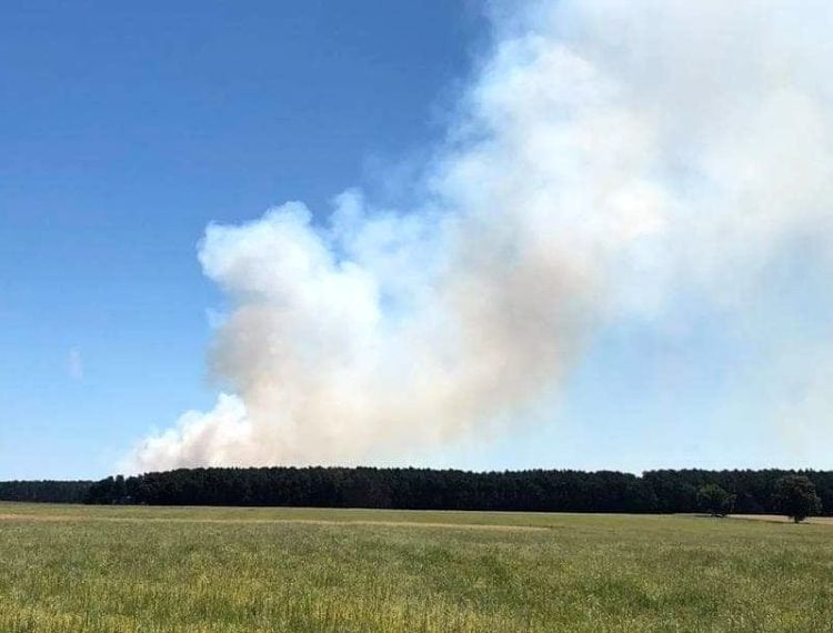 Blaulicht Reporter Cottbus und Umgebung