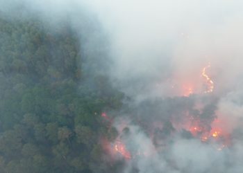 Johanniter Regionalverband Südbrandenburg