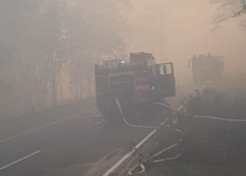 Stadt Eisenhüttenstadt