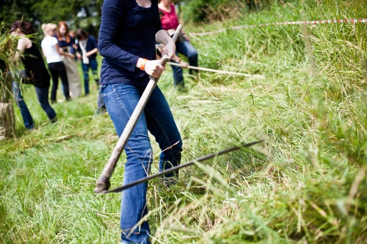 1. Spreewälder Bauernolympiade in Raddusch