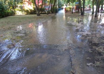 Freiwillige Feuerwehr Cottbus-Sachsendorf