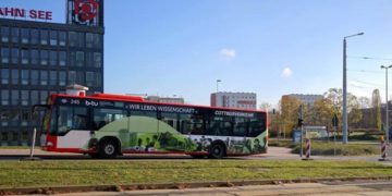 Cottbus-Bilder @UK