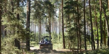Niederlausitz aktuell