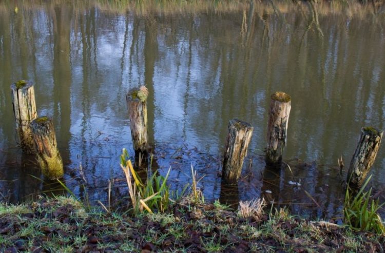 Elbe-Elster untersagt Wasserentnahme mit Pumpen aus Gewässern des Landkreises