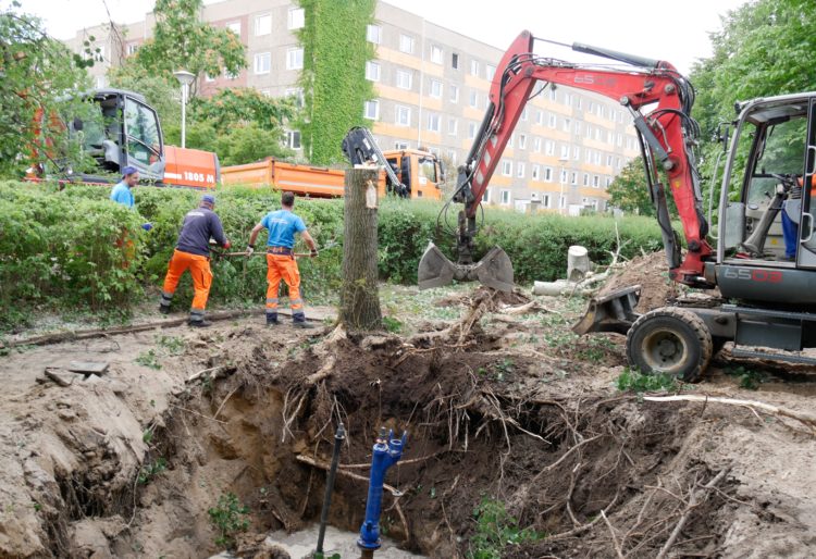 Rohrbruchreparatur in Cottbus-Sachsendorf hat begonnen