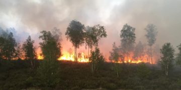 100 Hektar Waldbrand bei Jüterbog. Löscharbeiten dauern an