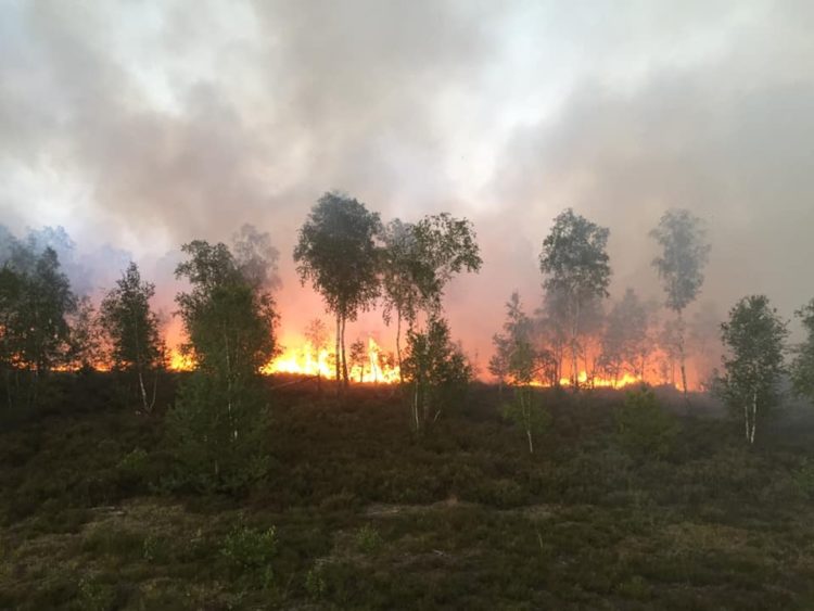 100 Hektar Waldbrand bei Jüterbog. Löscharbeiten dauern an
