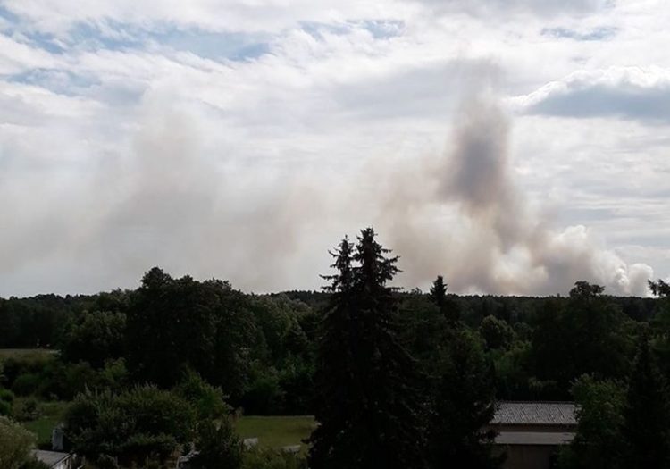 Großalarm! In der Lieberoser Heide brennt es wieder