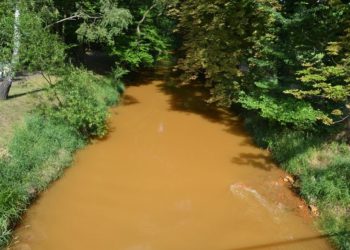 Niederlausitz aktuell