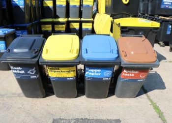 Cottbus führt Biotonne ein – Anmeldung ab sofort möglich