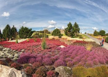 Förderverein Lausitzer Findlingspark Nochten e.V.