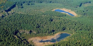 Förderverein Nationalpark Lieberoser Heide e.V.