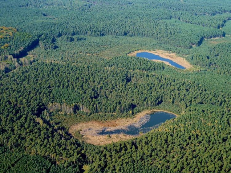 Förderverein Nationalpark Lieberoser Heide e.V.