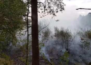 Blaulichtreport Lausitz