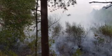 Blaulichtreport Lausitz