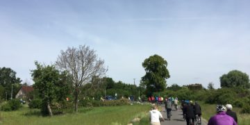 Geführte Radwanderung von Cottbuser Lagune in den Spreewald