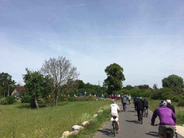 Geführte Radwanderung von Cottbuser Lagune in den Spreewald