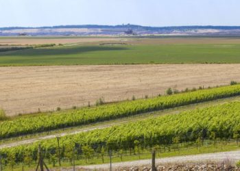 LEAG, Foto: Andreas Franke