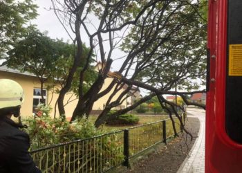 Blaulichtreport Lausitz