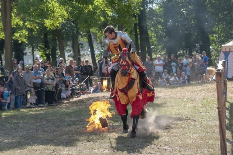 Archiv 2018 Mittelalter-Spectaculum Schloss Raakow