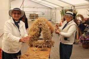 Lausitzer Herbstmarkt startet am Donnerstag auf dem Cottbuser Altmarkt