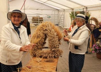 COEX Veranstaltungs GmbH & Co.KG