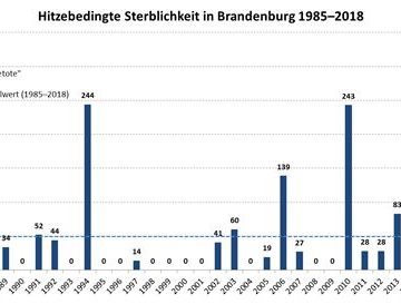 Hitzebedingte Sterblichkeit in Brandenburg 2018
