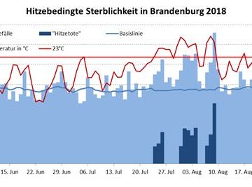 Hitzebedingte Sterblichkeit Brandenburg 2018 Methodik