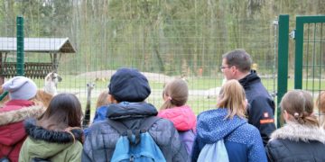 Erstmals seit 1990: mehr als 30.000 Gäste im Finsterwalder Tierpark