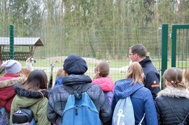 Erstmals seit 1990: mehr als 30.000 Gäste im Finsterwalder Tierpark