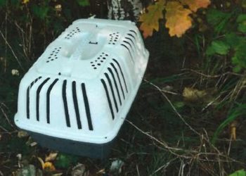 Polizeidirektion Süd