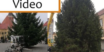 Weihnachtsbaumaufstellung in Calau und Senftenberg