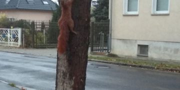 S.A. Eulitz/Facebook