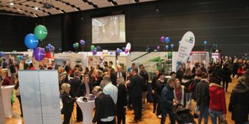 iBOB 2018