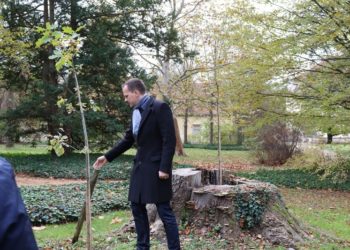 Stiftung Fürst-Pückler-Museum