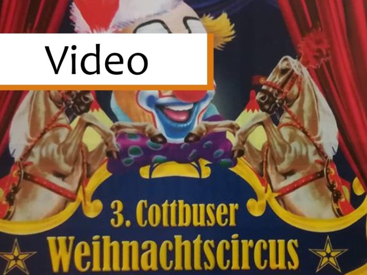 Weihnachtszirkus erleben und Cottbuser Tafel unterstützen