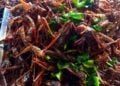 Insekten essen: gute Nährwerte, hoher Preis