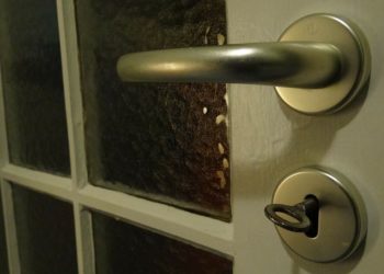 Diebe brechen in Halber Tierheim ein