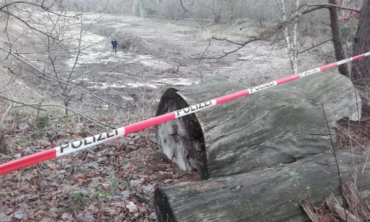 2.300 Kampfmittel in zwei Wochen auf dem Flugplatz Falkenberg/Lönnewitz geborgen