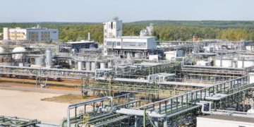 Baumfällungen bei BASF Schwarzheide. Vorbereitungen für Batteriefabrik?