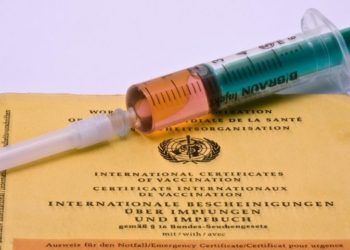 Andreas Morlok, www.pixelio.de