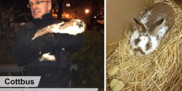 Polizei Brandenburg Facebook
