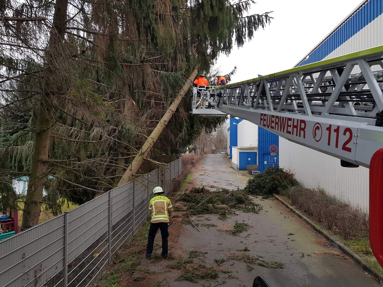 Sturm Yulia ließ zahlreiche Bäume umkippen. Wie hier in Cottbus