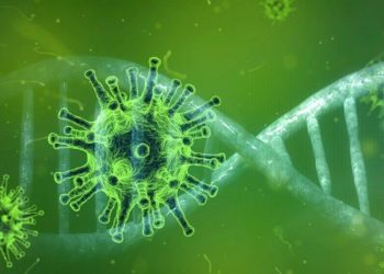 Forst: Erste Coronavirus-Erkrankung im Landkreis Spree-Neiße