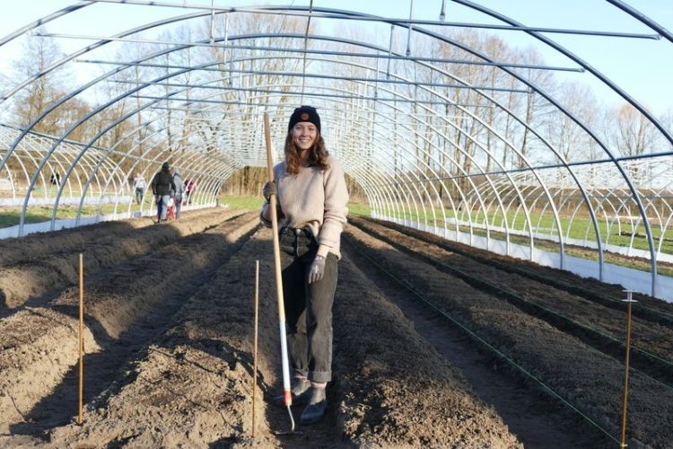 Helfer für die Landwirtschaft. Webseite bringt Landwirte und Arbeiter zusammen