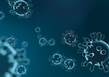 Coronavirus: Brandenburg will Ausgangsbeschränkungen bis 19.April verlängern