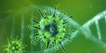Corona-Virus