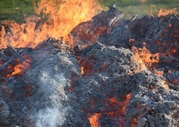 ©Götz Friedrich | www.pixabay.de